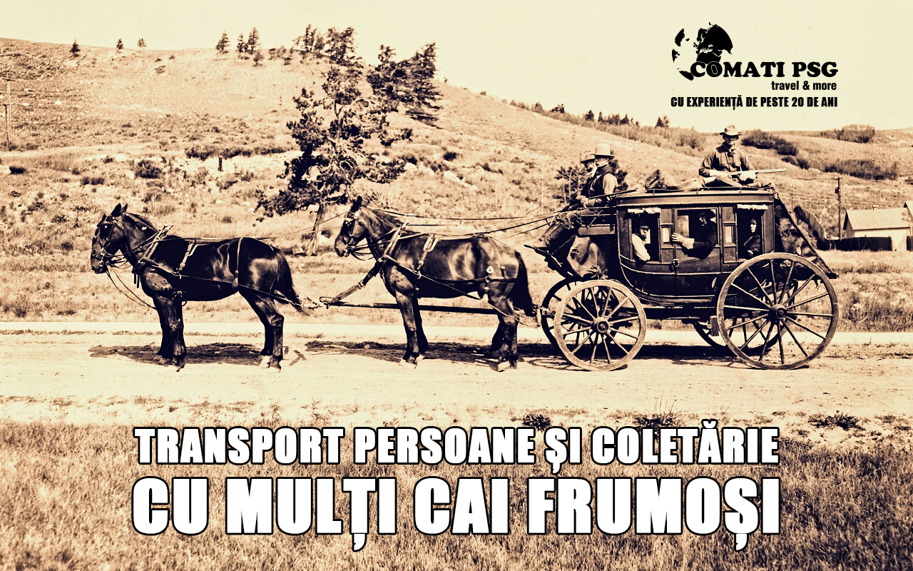 Transport persoane si coletarie, cu multi cai frumosi :)